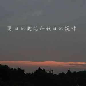 夏日的微风与秋日的落叶