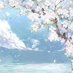 The Spring