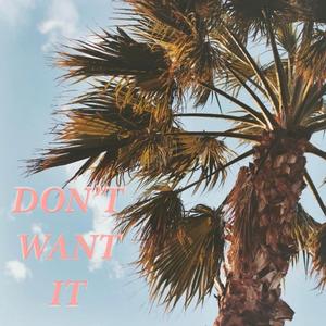 Don't Want It