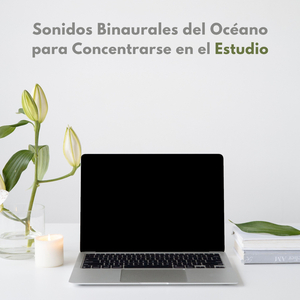 Flujo De Aprendizaje Oceánico
