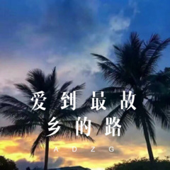 爱你的花不必多说 (DJ版)