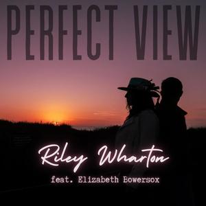 Perfect View (feat. Elizabeth Bowersox)