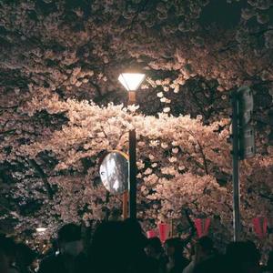 暗恋求职者 piano ver.