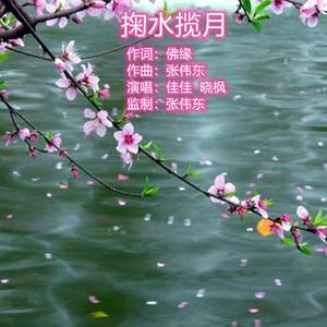 掬水揽月 (佳佳 晓枫)