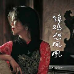 锦鸡想凤凰 (DJ彭锐版)