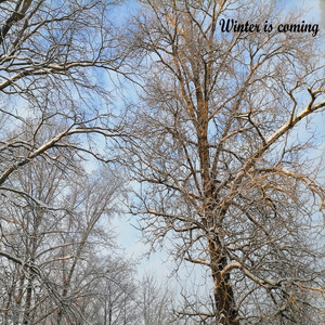 Winter Is Coming