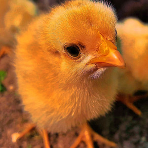 理系大学生の日常