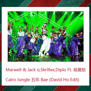 Cairo Jungle 五环 Bae (David Ho Bootleg)