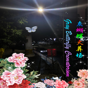 灰蝴蝶火葬场