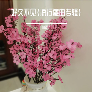 好久不见（动感舞曲）