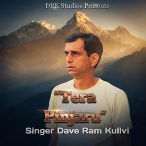 Tera Pinjaru