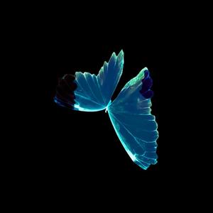 TITLI (feat. ROMEOO)