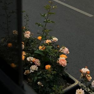 病变 DJ（伴奏 Remix）