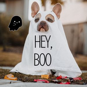 Echoes of Silent Era