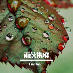 雨落指缝