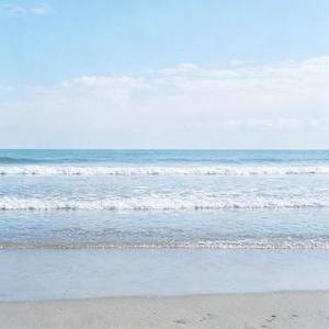 背叛情歌 (Cover 凌七 (Sage.7))