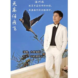 天高任我飞