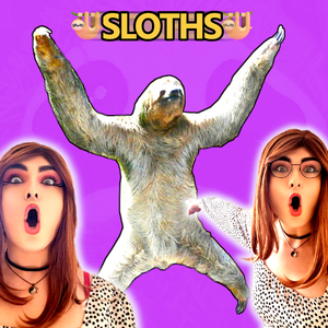 Sloths