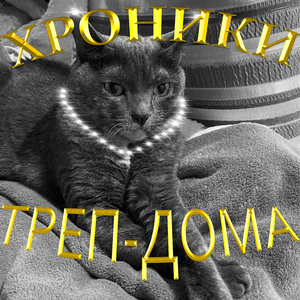 ТРЕП ТРИО (feat. OG RECORDS)
