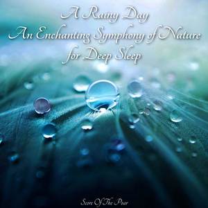 Dull Raindrops - Relaxing White Noise Rain