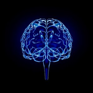 If You Would Only Change Your Mind