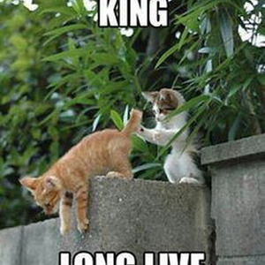 Not All There (slowed)