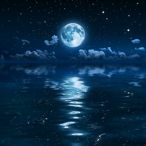 叙述愁(Prod.Jeston)