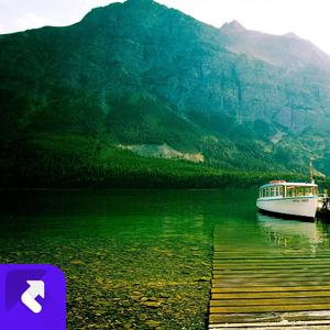 有事从来不商量