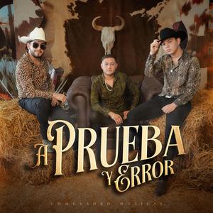 A Prueba Y Error