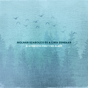 A Bornyúkot Elhajtottam és Közjáték