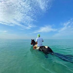 Goodboys-Lose Control（J.Ale / 吉阿乐 remix）