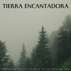 La Tierra Cautiva Con Naturaleza Armoniosa