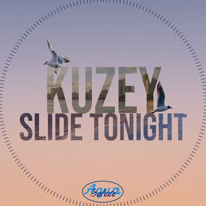 Slide Tonight (Chanknous Remix)