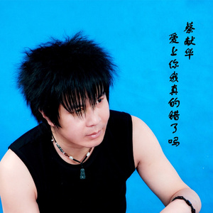 寂寞的夜里我想你 (DJ广场舞版)