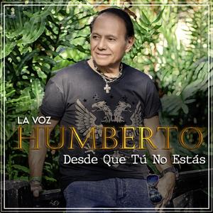 Desde Que Tú No Estás