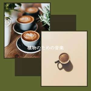 音(日曜日の朝)