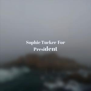 Dreamland Last Night