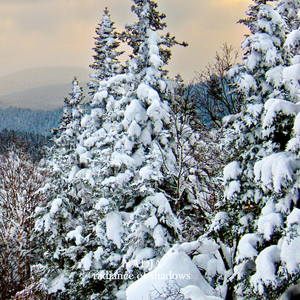 I Have Tasted The Fire Inside Your Mouth