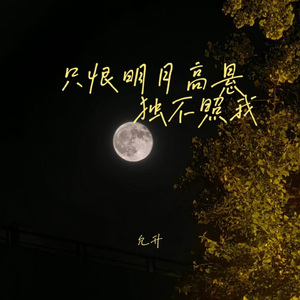 只恨明月高悬独不照我