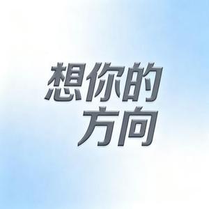 想你的方向