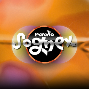 Radio Sognex