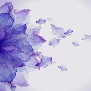 世界不是你想像那样