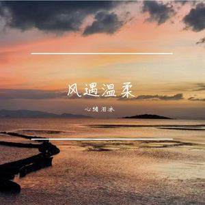 风遇温柔