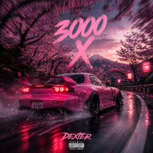 3000 X