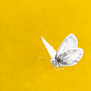 【免费伴奏】Melodic Rap/R&B PopRap Trap