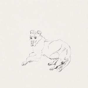 가까운 네에게 (Dear Near You)