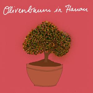 Olivenbaum in Hanau