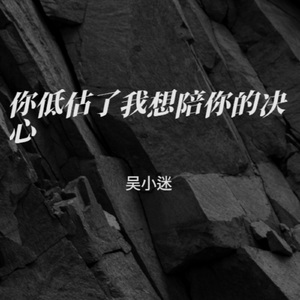 你低估了我想陪你的决心