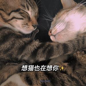FREE-想猫也在想你