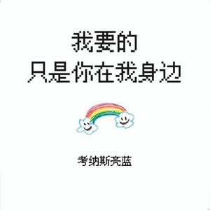 我要的只是你在我身边